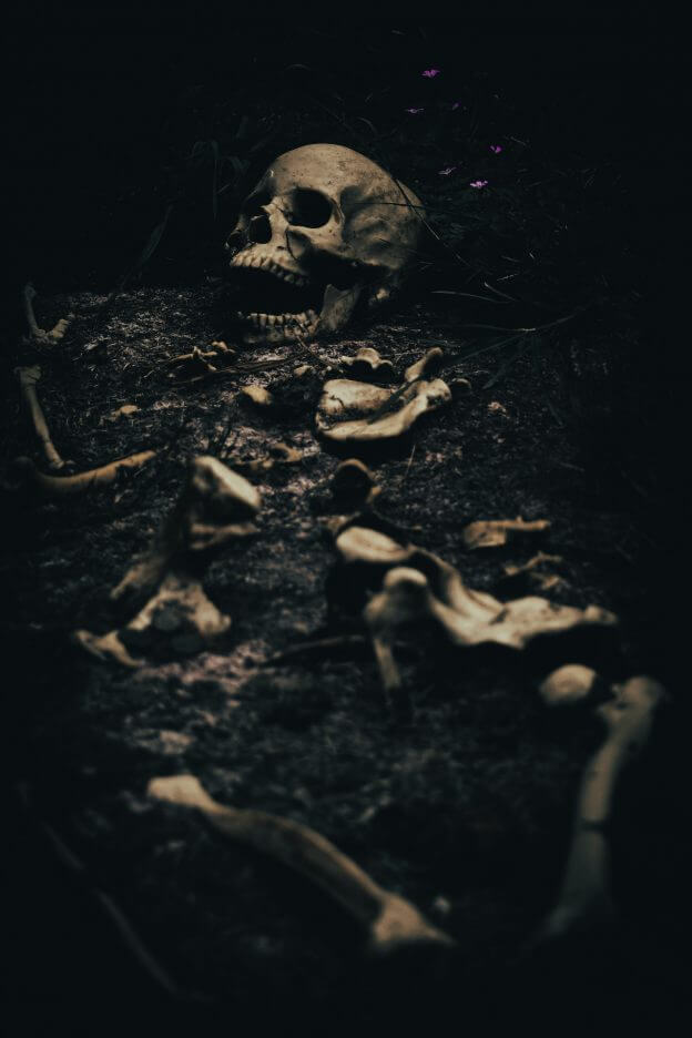 Human Skeleton (Jon Butterworth / Pexel)