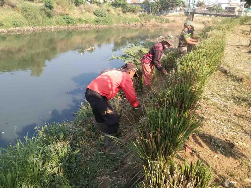 Vetiver Planting on the Citarum Riverbank (Citarum Harum)