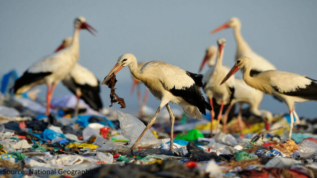 Pencemaran laut oleh sampah